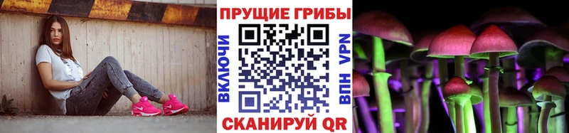 Галлюциногенные грибы ЛСД  мега ONION  Алагир 